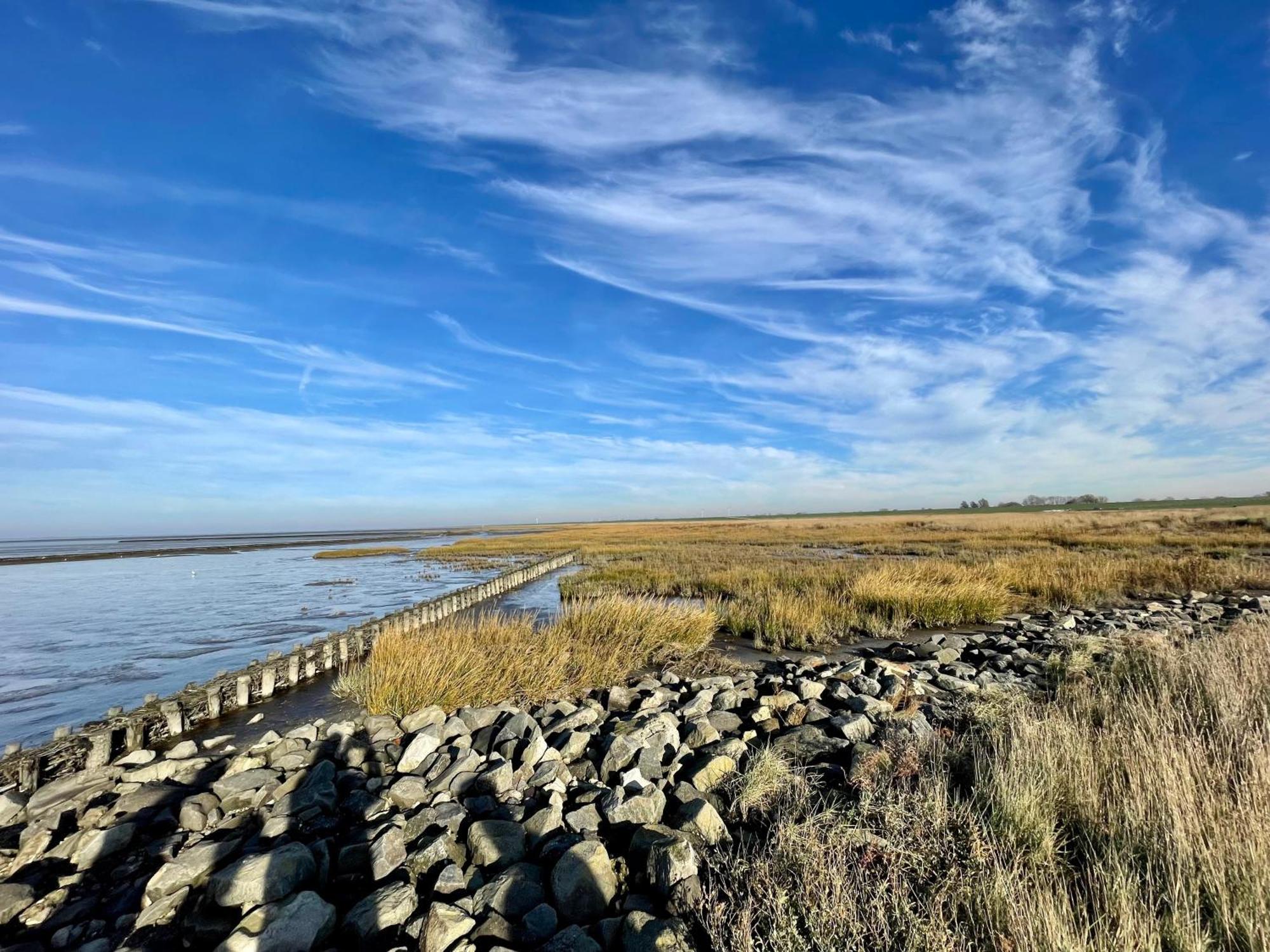 Haus Meerauszeit - Erholung An Der Nordsee Schweiburg Eksteriør billede